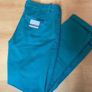 NWT Anthropologie chino pants